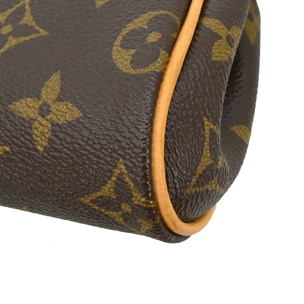 Louis Vuitton Monogram Eva 2way Shoulder Handbag M95567