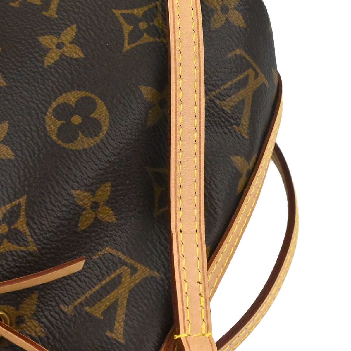 Louis Vuitton Monogram Nano Noe Shoulder Bag M41346