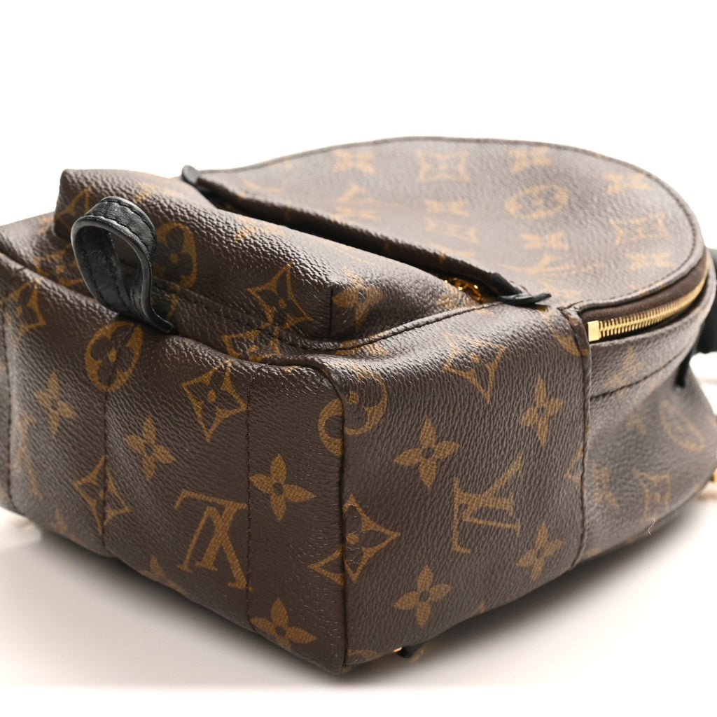Louis Vuitton Monogram Palm Springs Backpack Mini