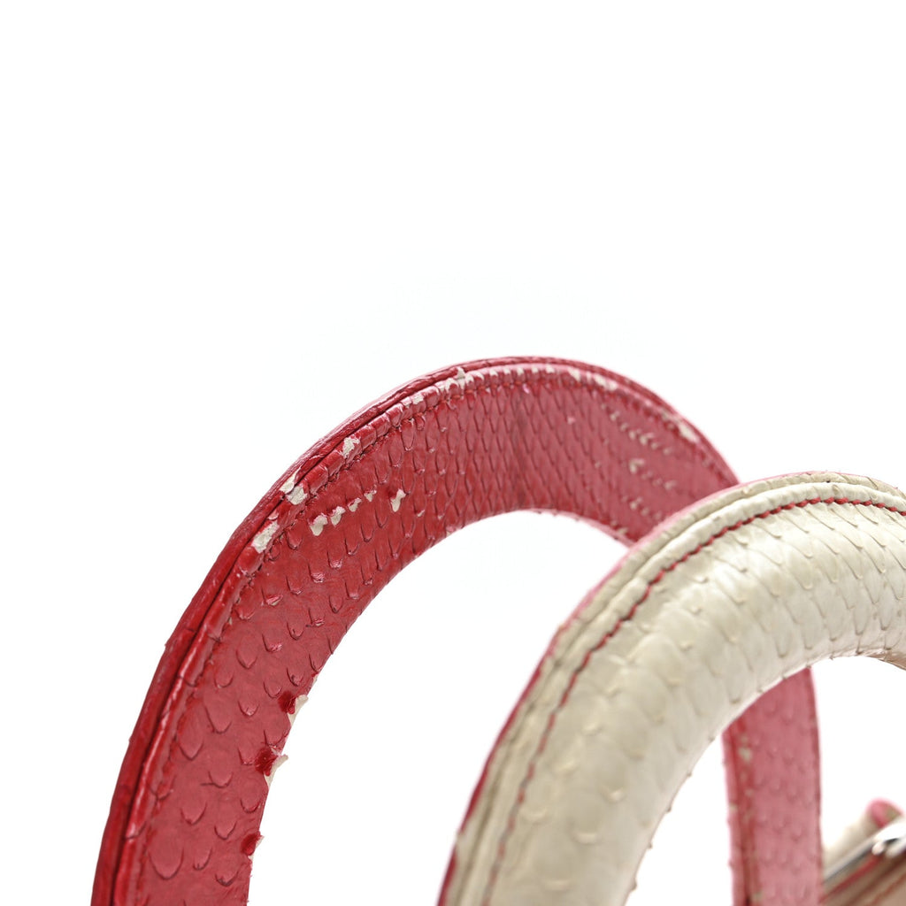 Christian Dior Snakeskin Ombre Medium Lady Dior Red White