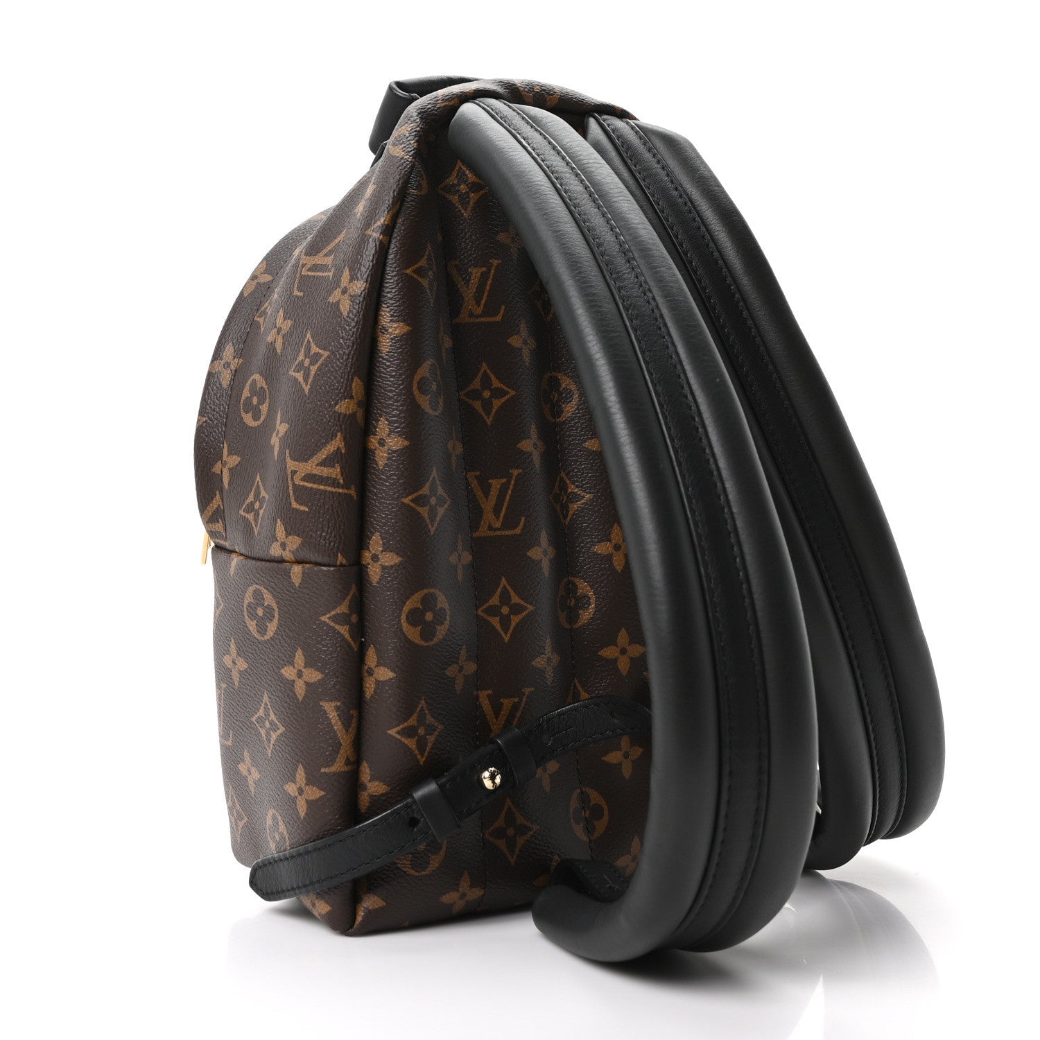 Louis Vuitton Monogram Palm Springs Backpack PM