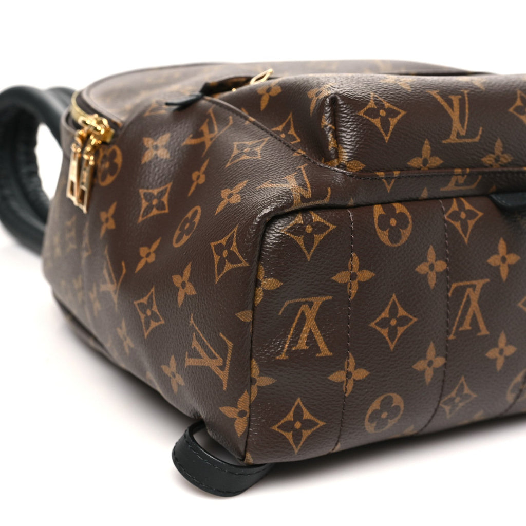 Louis Vuitton Monogram Palm Springs Backpack MM