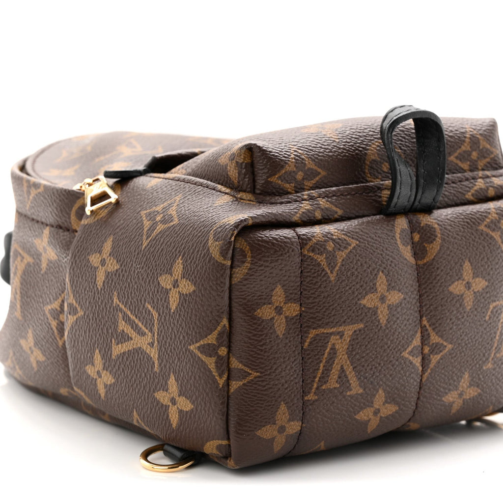 Louis Vuitton Monogram Palm Springs Backpack Mini
