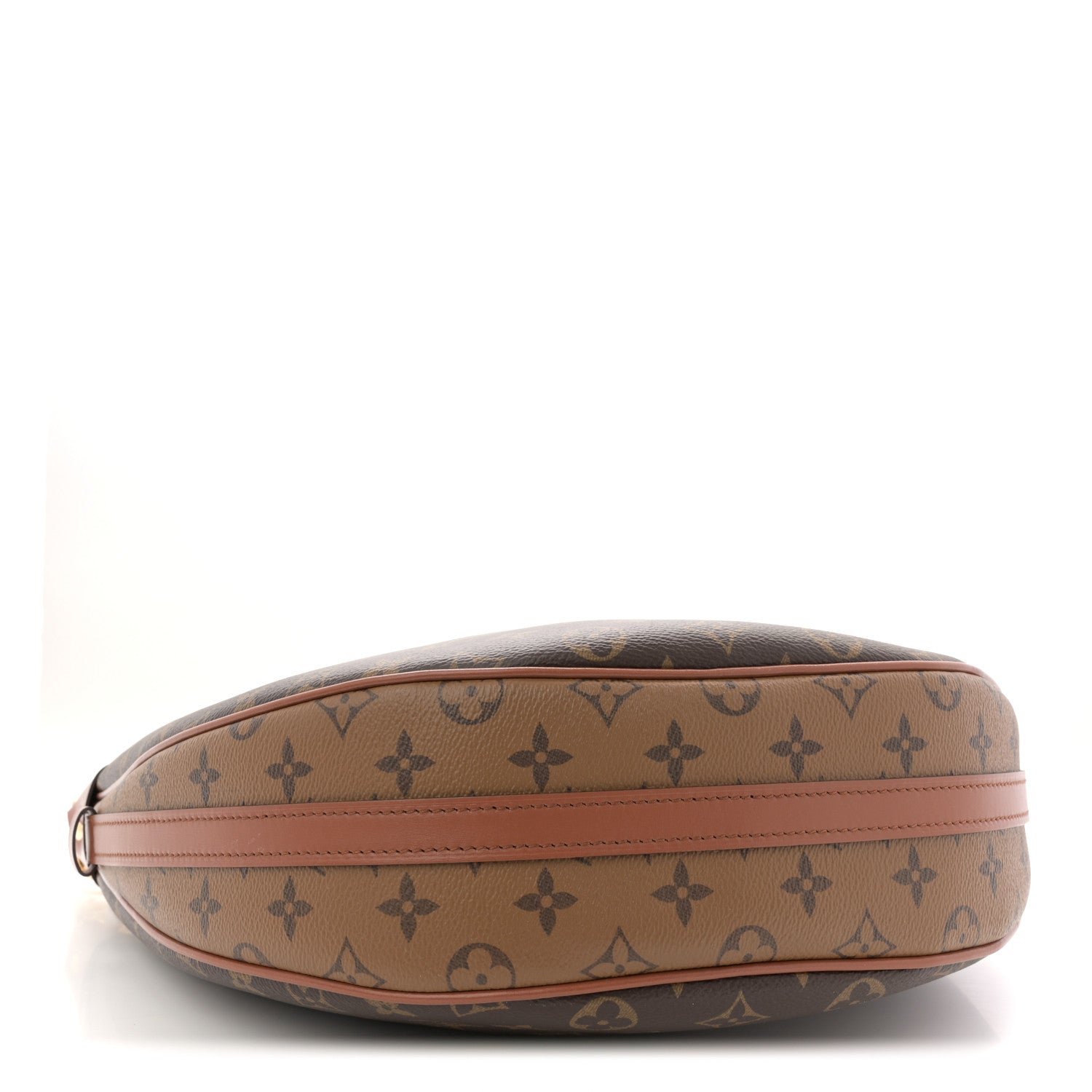 Louis Vuitton Reverse Monogram Loop Hobo