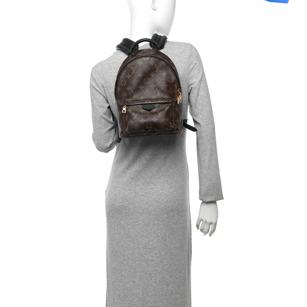 Louis Vuitton Monogram Palm Springs Backpack PM