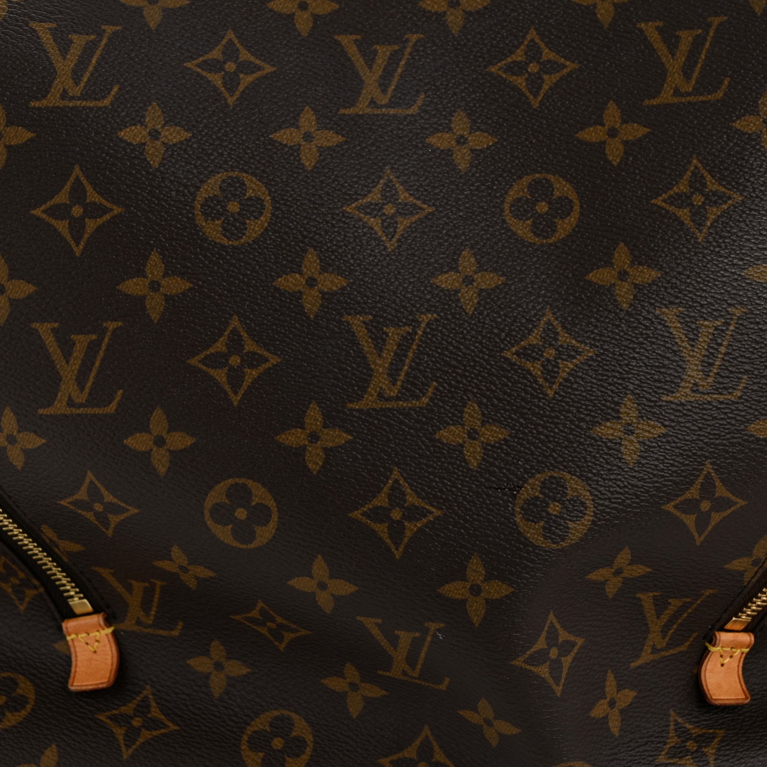 Louis Vuitton Monogram Delightful GM