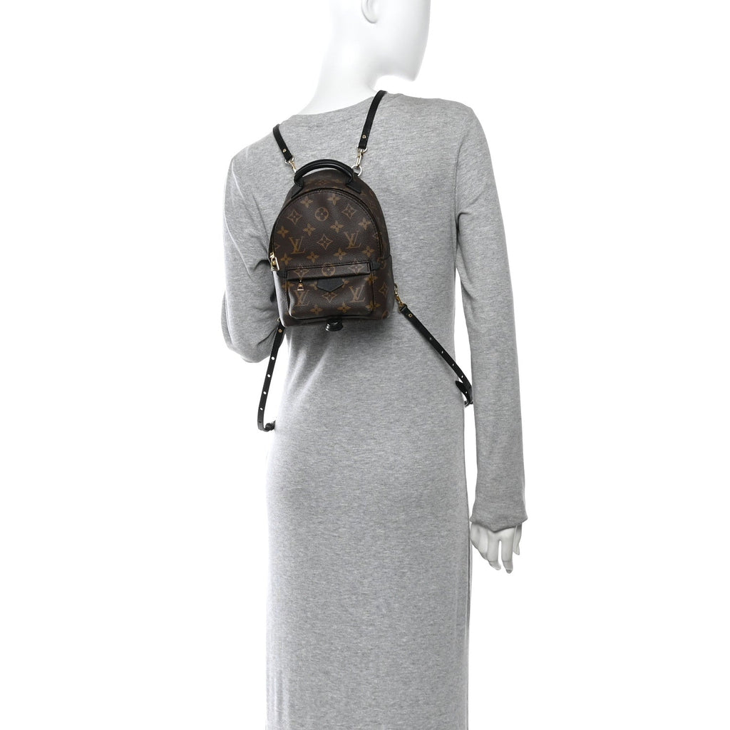 Louis Vuitton Monogram Palm Springs Backpack Mini