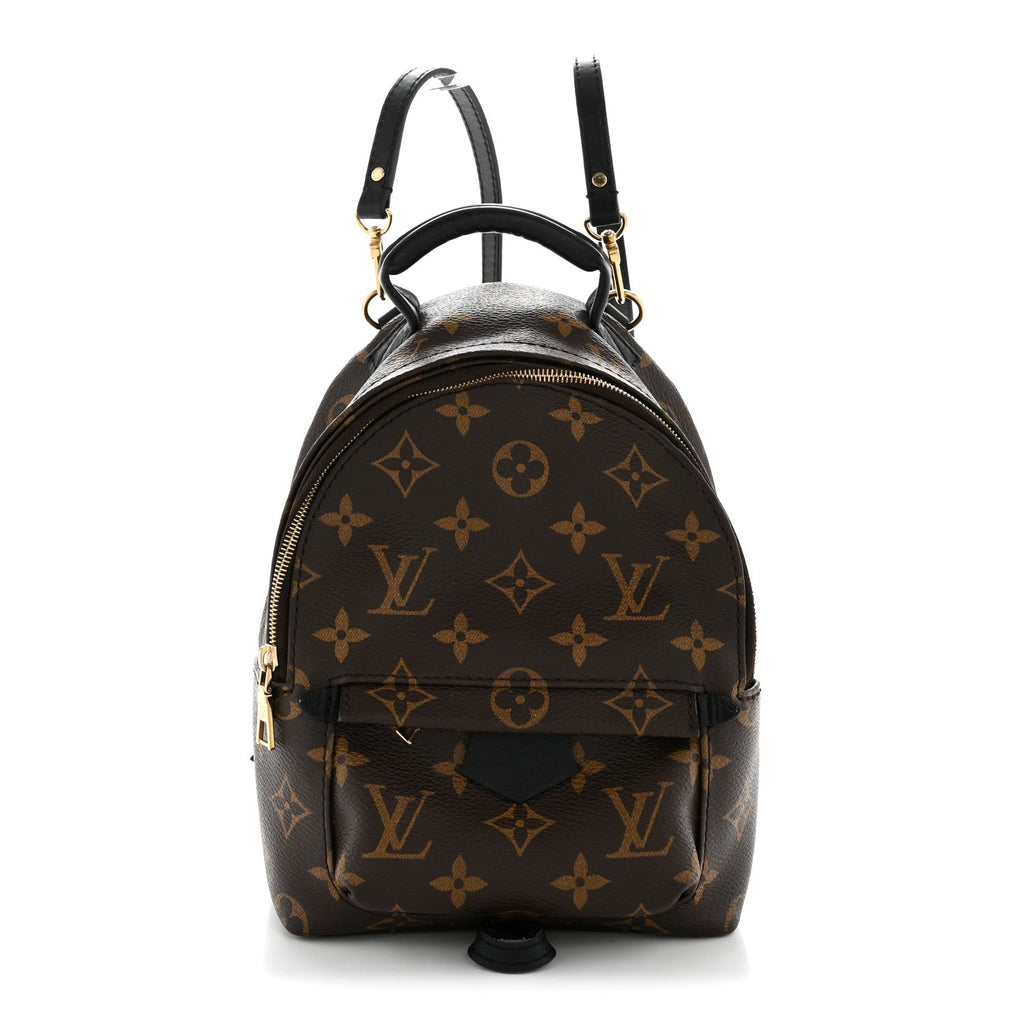 Louis Vuitton Monogram Palm Springs Backpack Mini