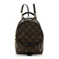 Louis Vuitton Monogram Palm Springs Backpack Mini