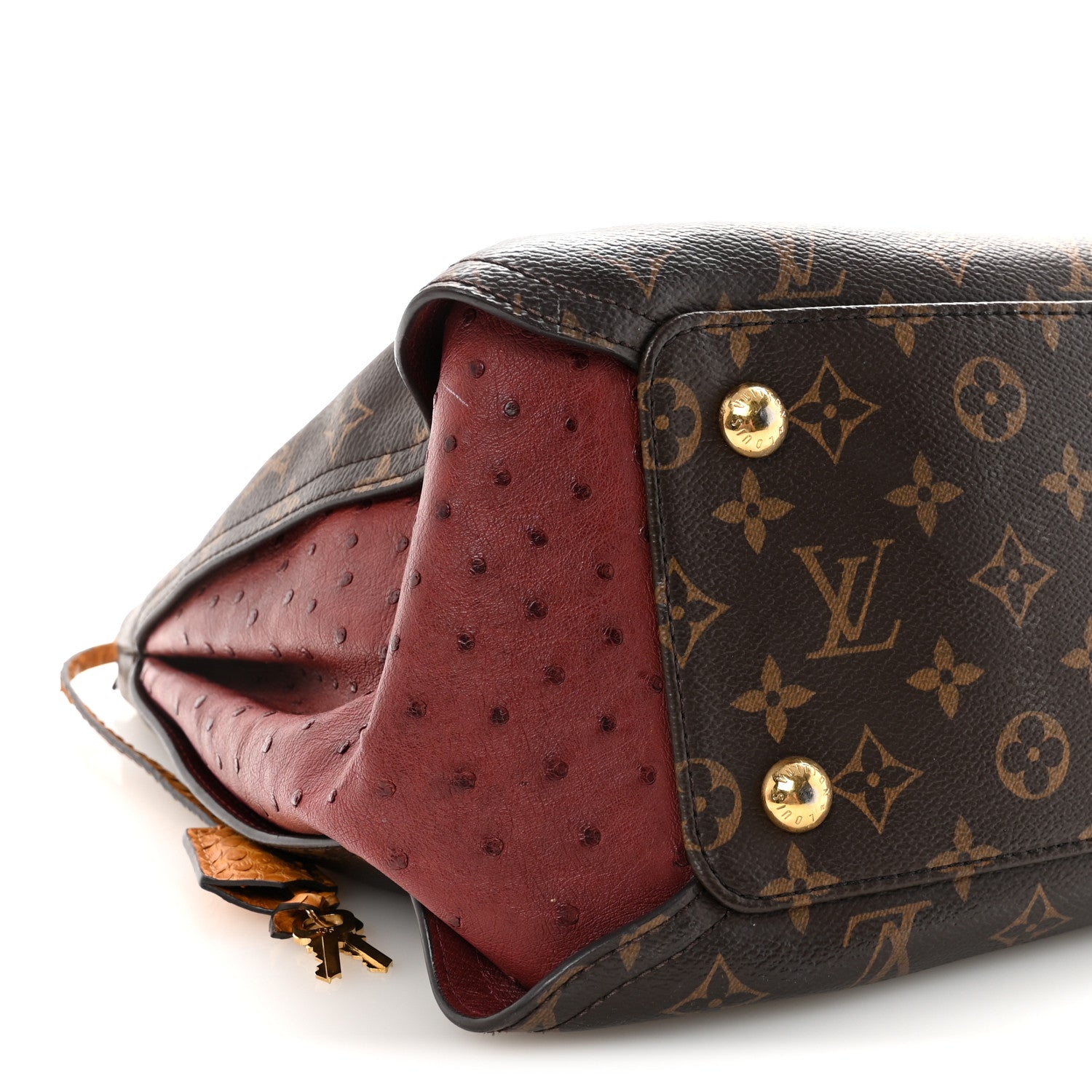 Louis Vuitton Monogram Python Ostrich Gaia Bordeaux