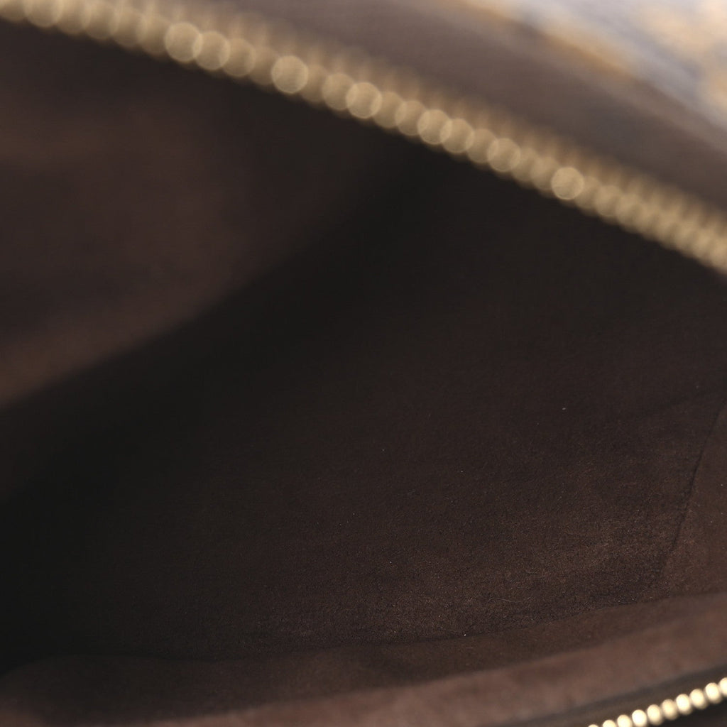 Louis Vuitton Monogram Mini Bumbag