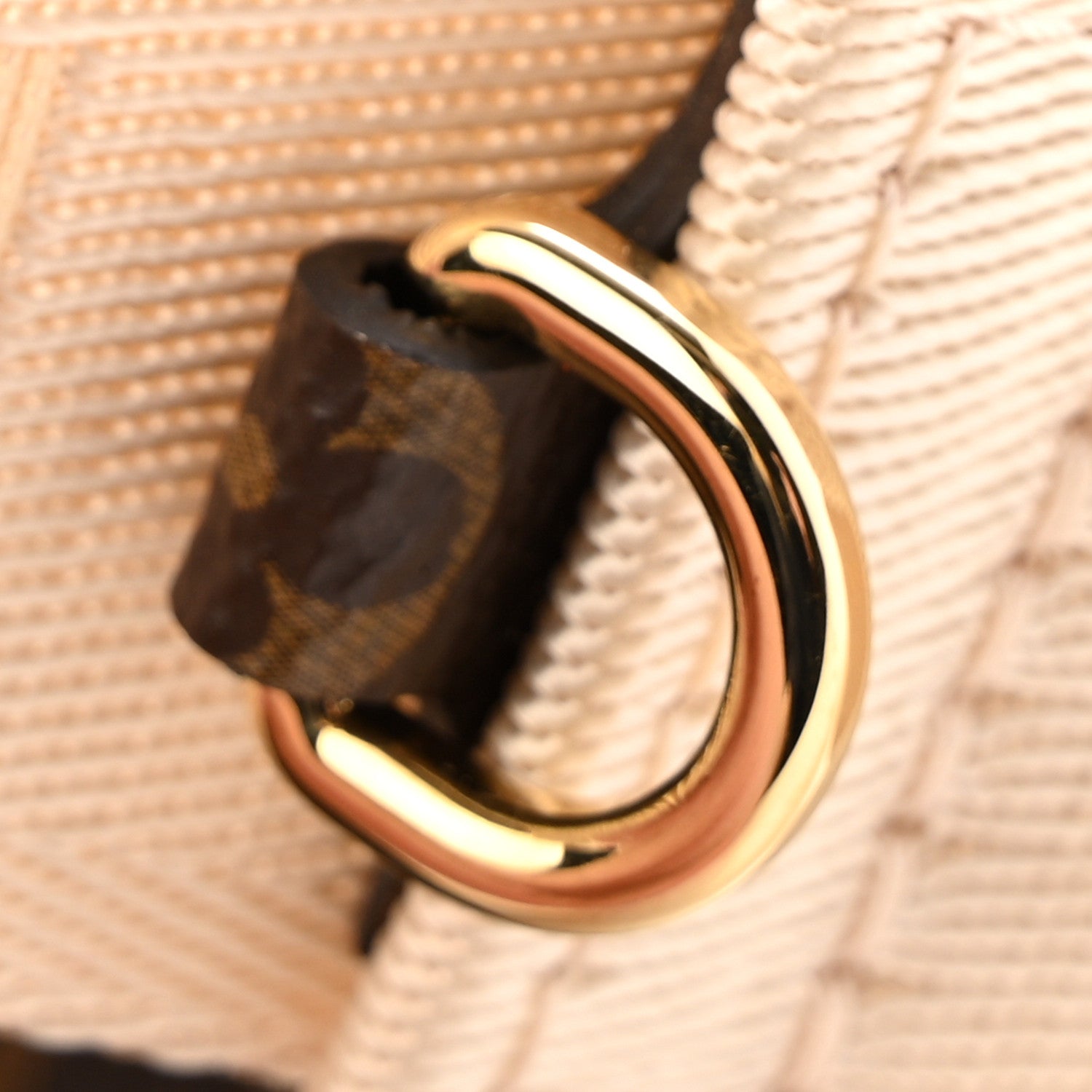 Louis Vuitton Reverse Monogram Giant Onthego PM
