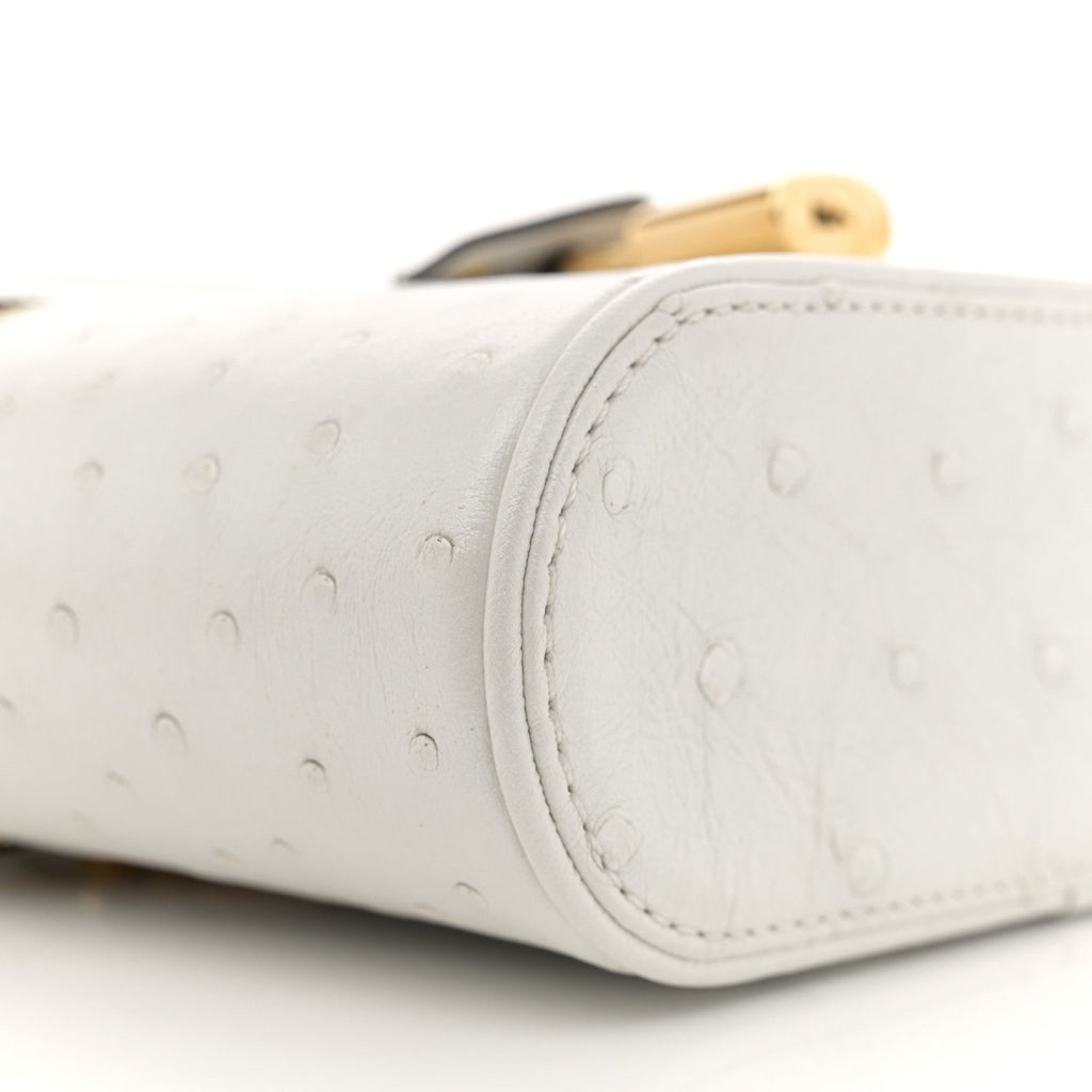 Louis Vuitton Ostrich Vanity Chain Pouch