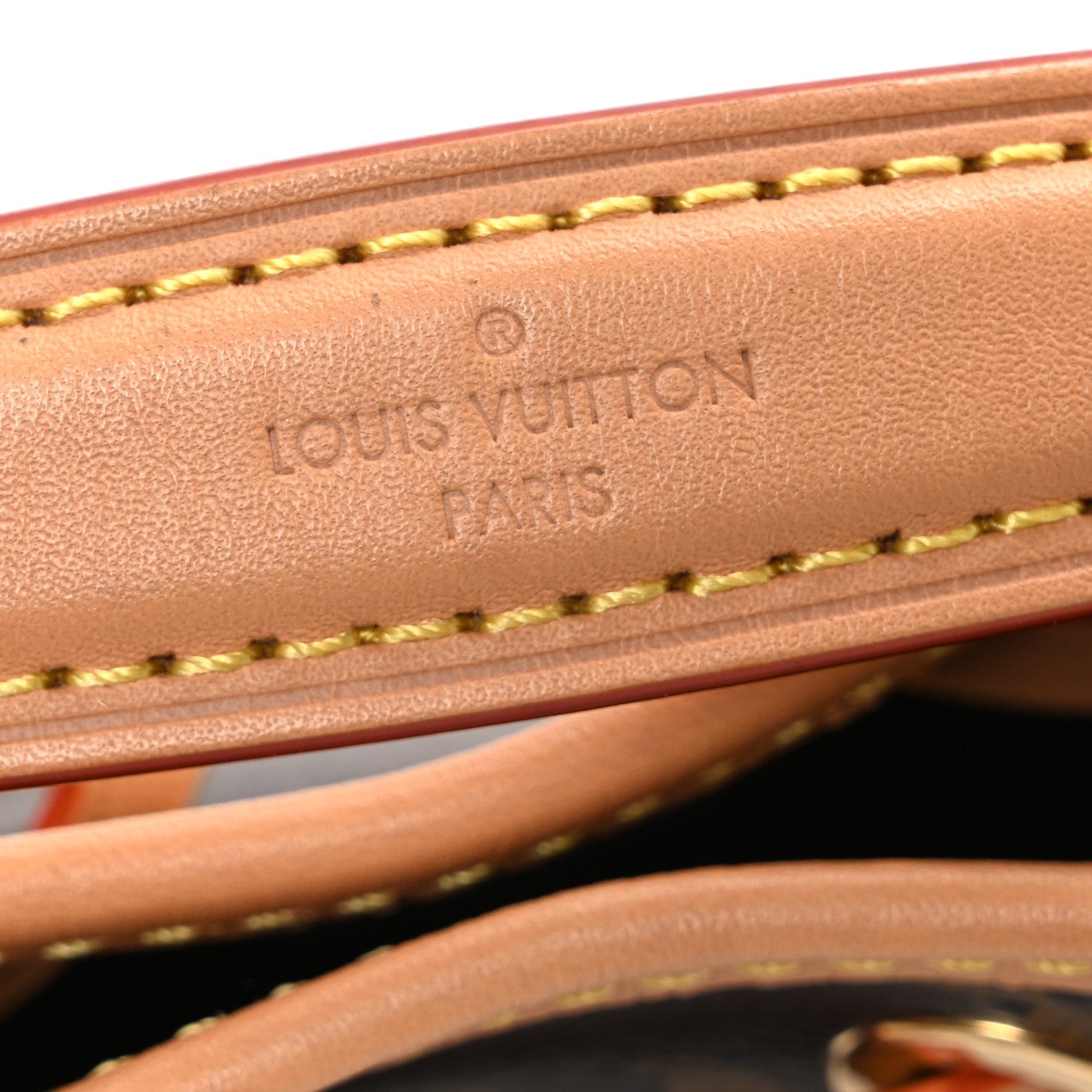 Louis Vuitton Monogram Nano Noe NV