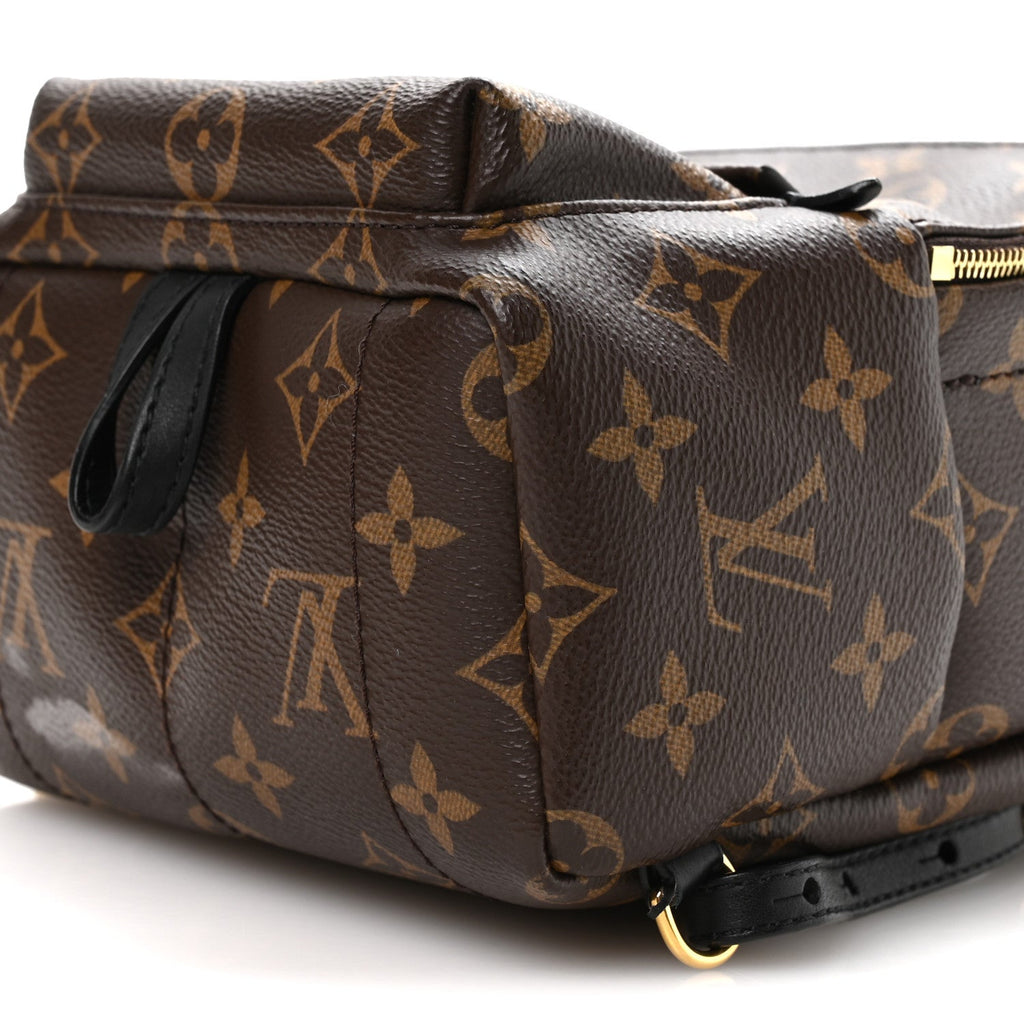 Louis Vuitton Monogram Palm Springs Backpack Mini