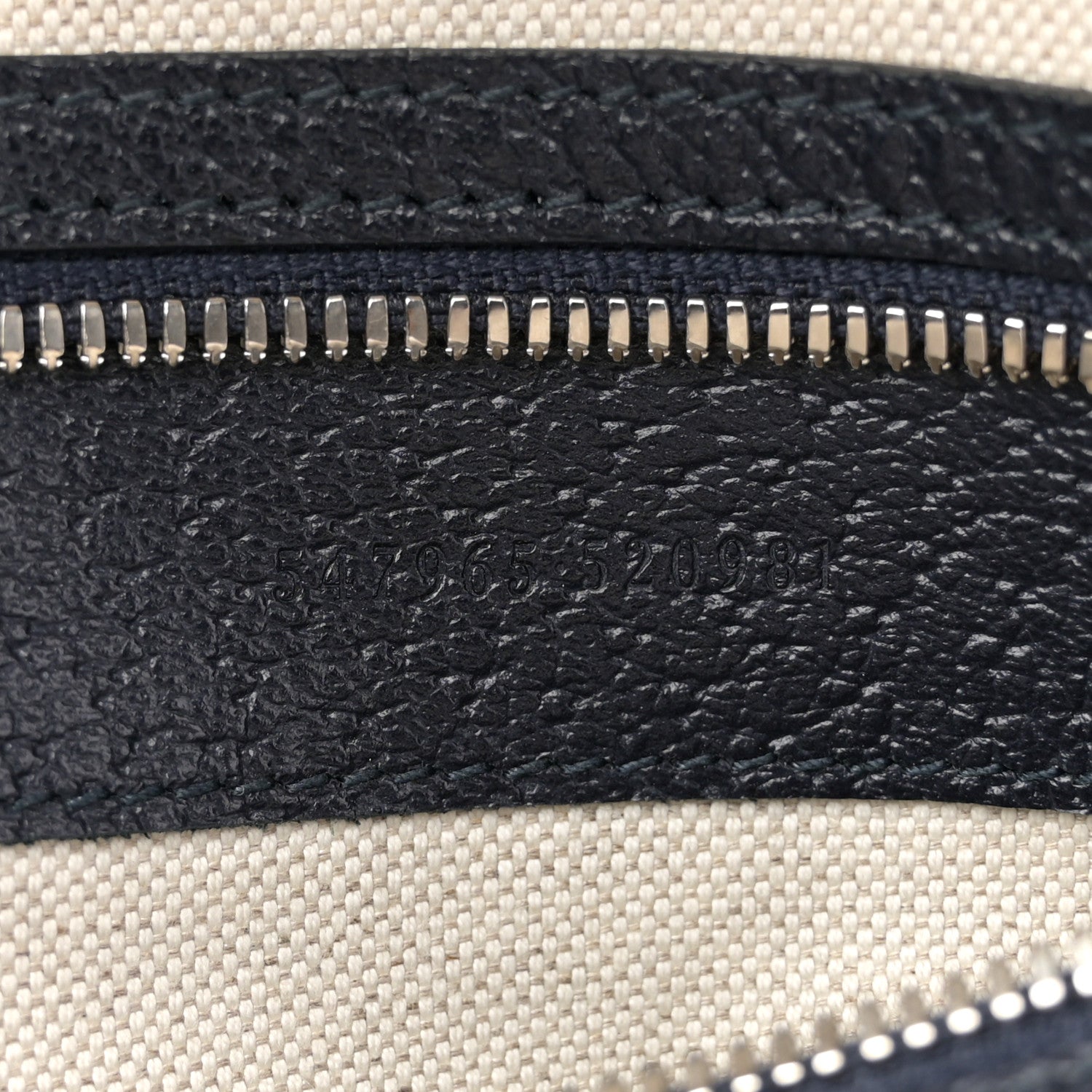 Gucci GG Supreme Monogram Textured Dollar Calfskin Web Small Ophidia Day Backpack Beige Blue Black