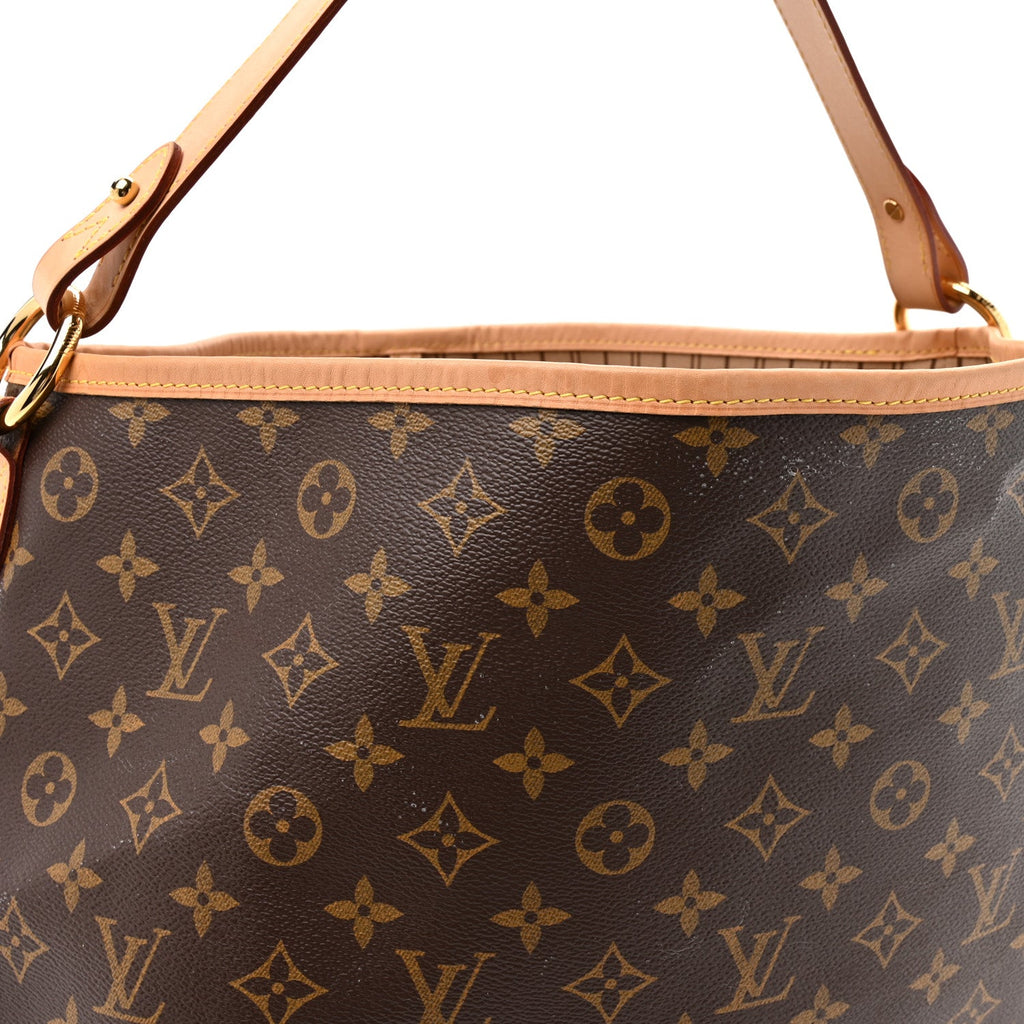 Louis Vuitton Monogram Delightful MM