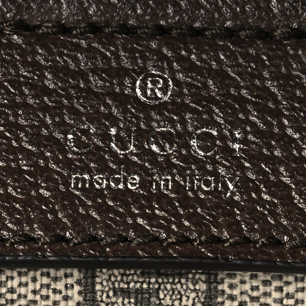 Gucci Aluminum Web Porter Cabin Plus Trolley