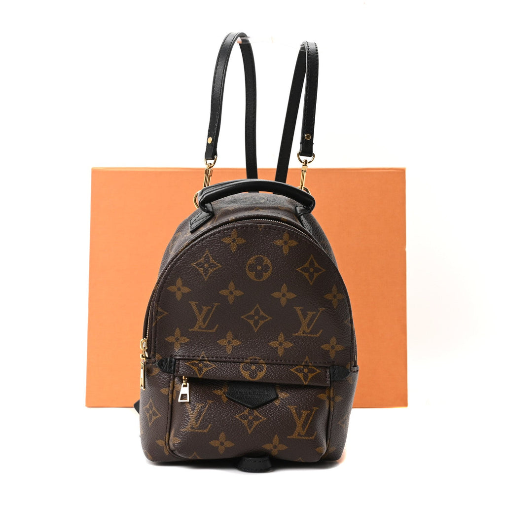 Louis Vuitton Monogram Palm Springs Backpack Mini