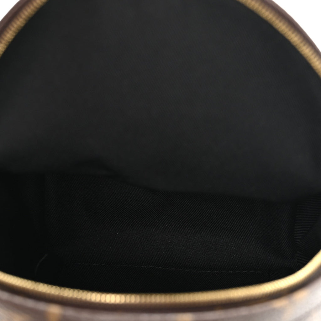 Louis Vuitton Monogram Palm Springs Backpack Mini