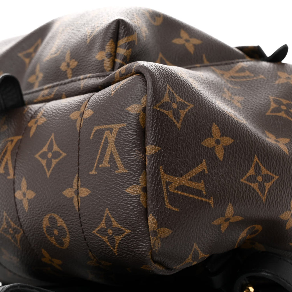 Louis Vuitton Monogram Palm Springs Backpack MM
