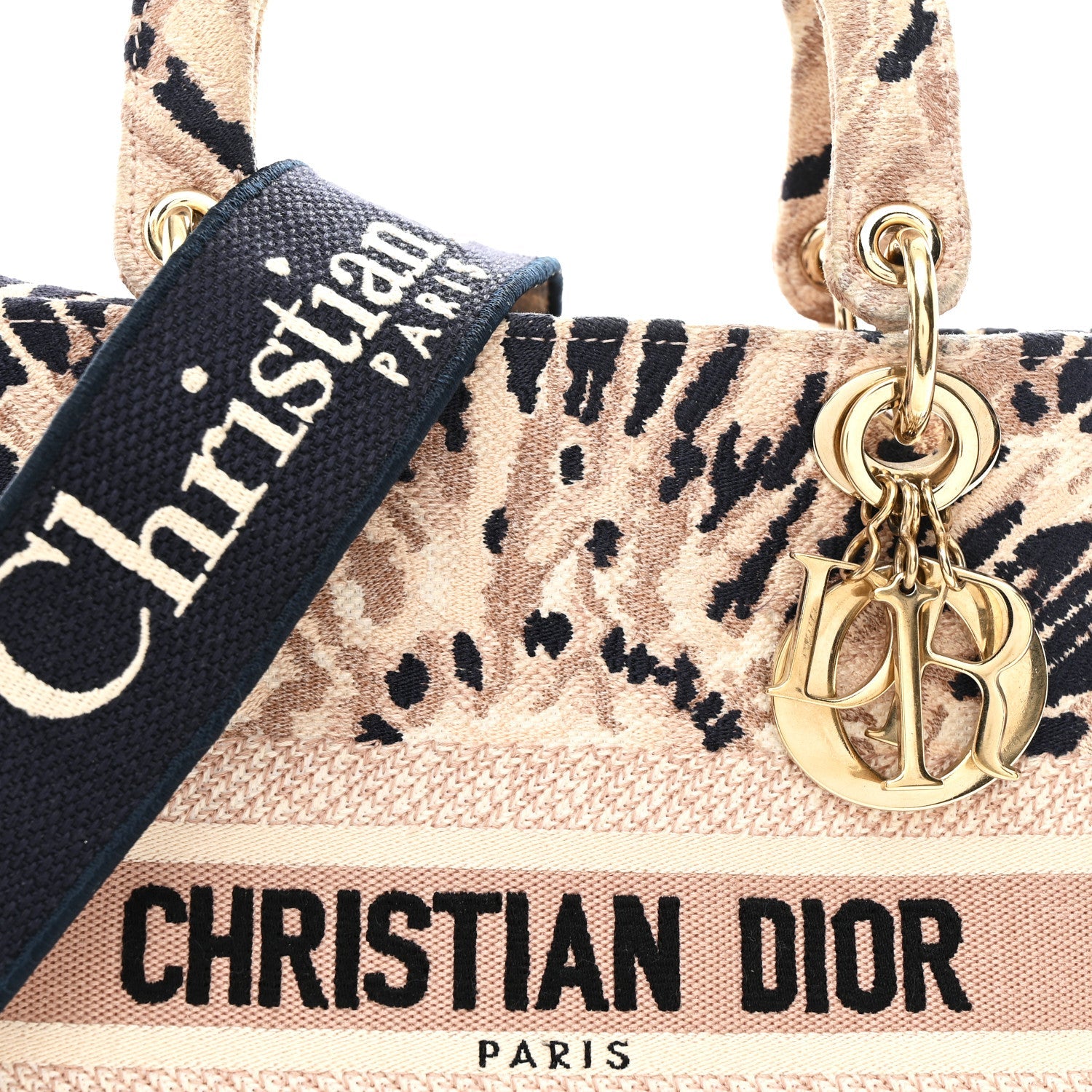 Christian Dior Canvas Embroidered Medium Tie And Dior Lady D-Lite Multicolor