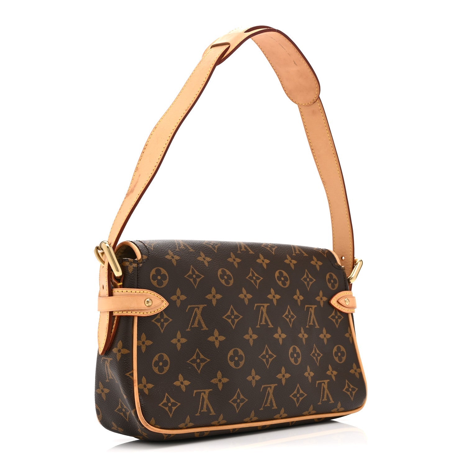 Louis Vuitton Monogram Hudson PM