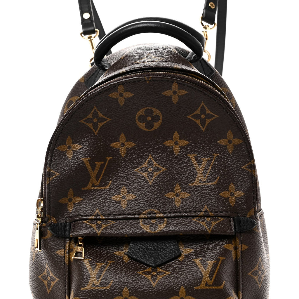 Louis Vuitton Monogram Palm Springs Backpack Mini