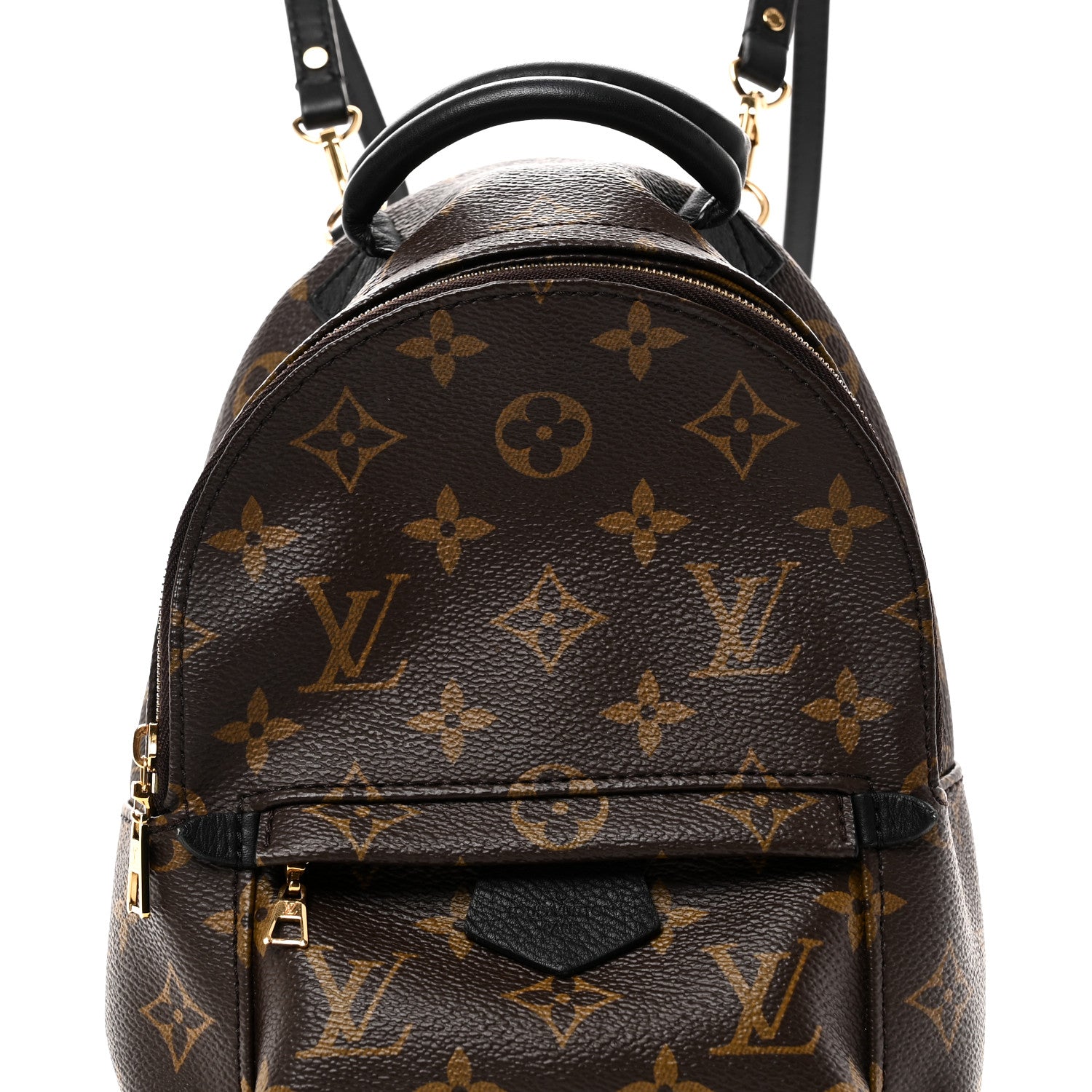 Louis Vuitton Monogram Palm Springs Backpack Mini