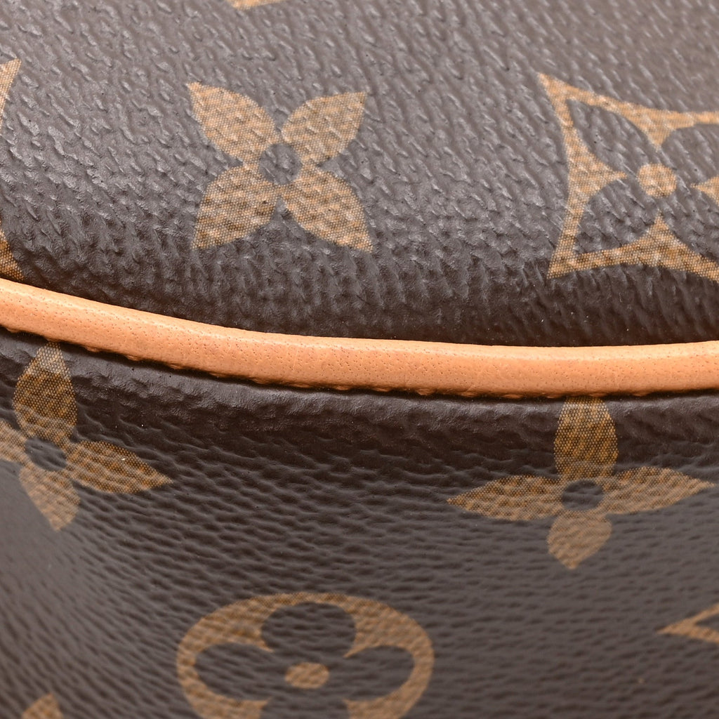 Louis Vuitton Monogram Loop
