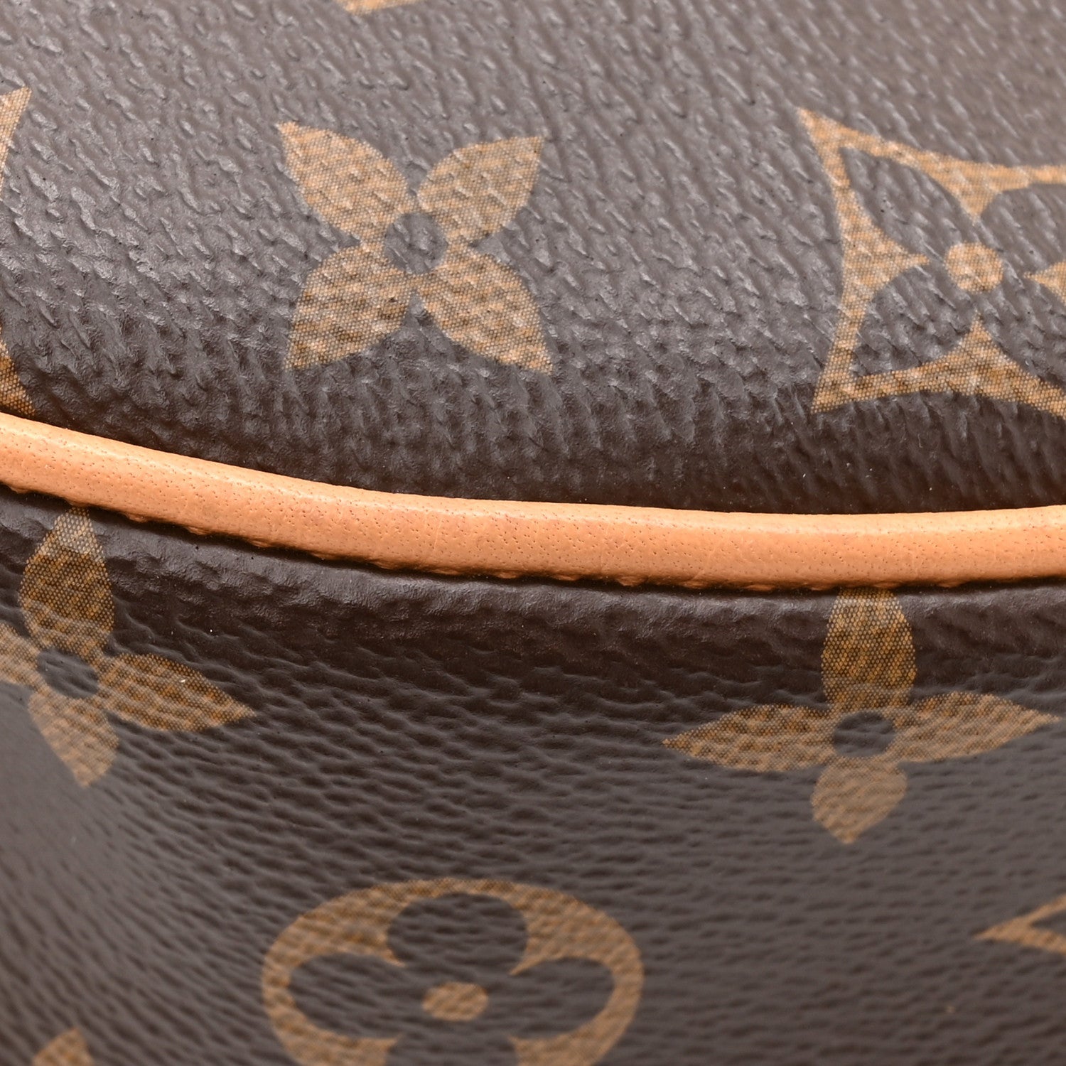 Louis Vuitton Monogram Loop