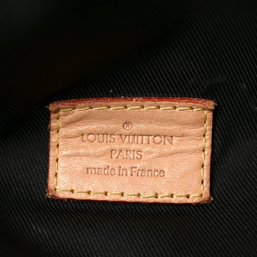 Louis Vuitton Monogram Bumbag