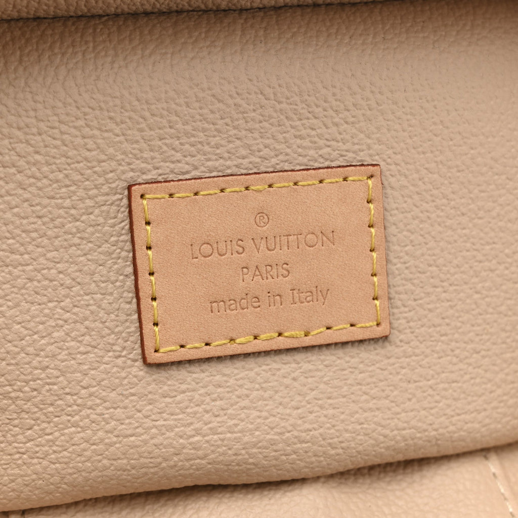 Louis Vuitton Monogram Nano Nice