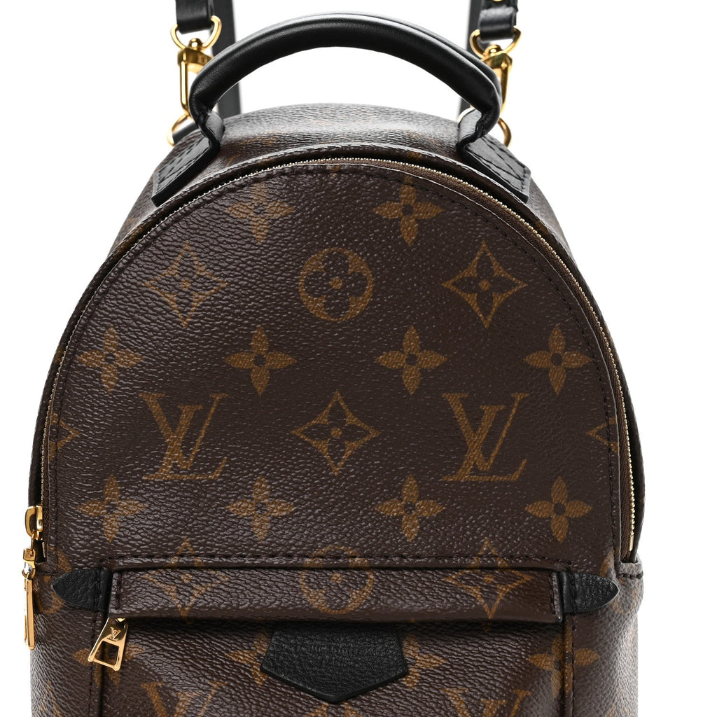 Louis Vuitton Monogram Palm Springs Backpack Mini