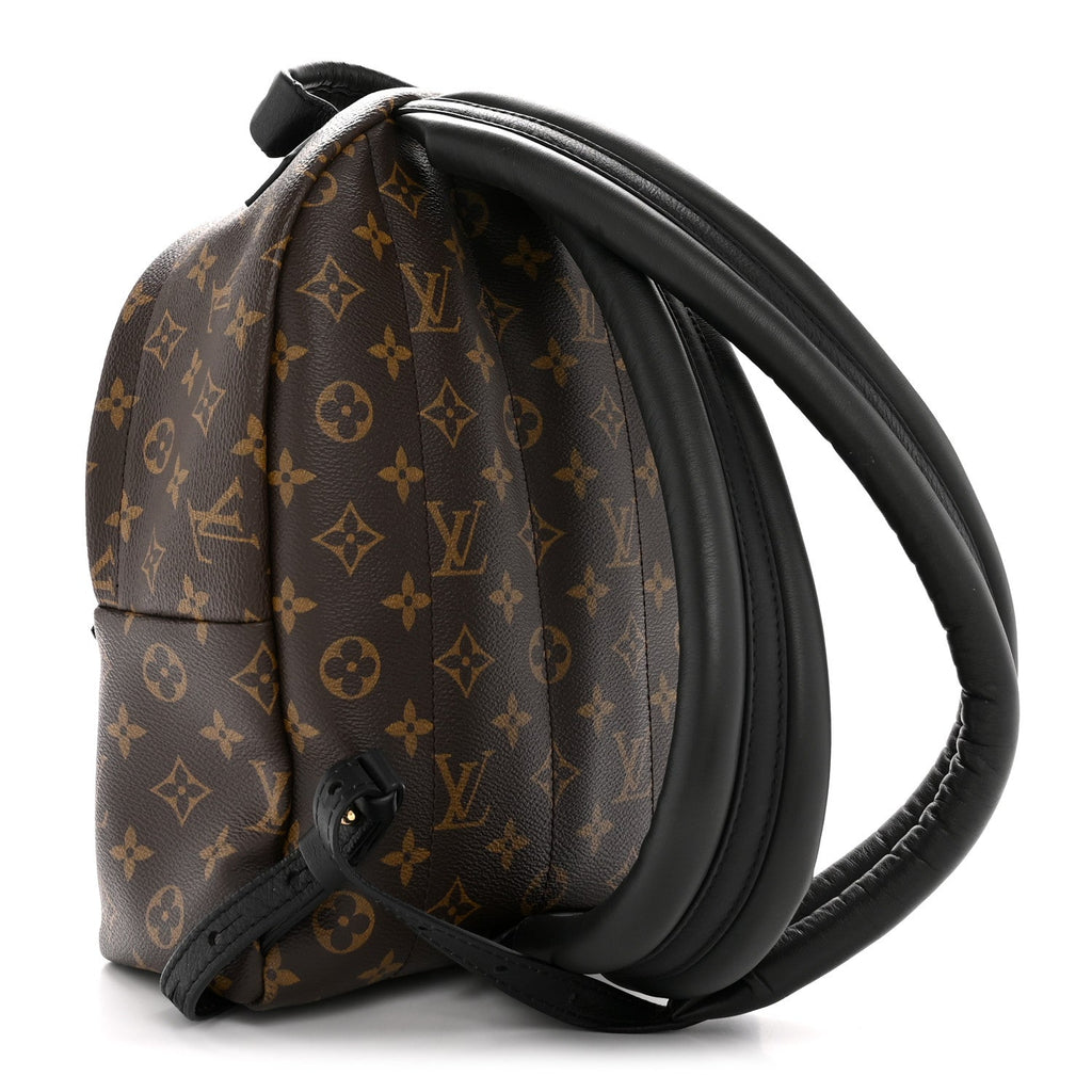 Louis Vuitton Monogram Palm Springs Backpack PM