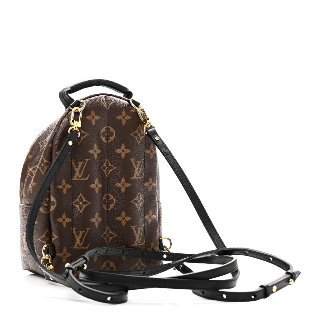 Louis Vuitton Monogram Palm Springs Backpack Mini