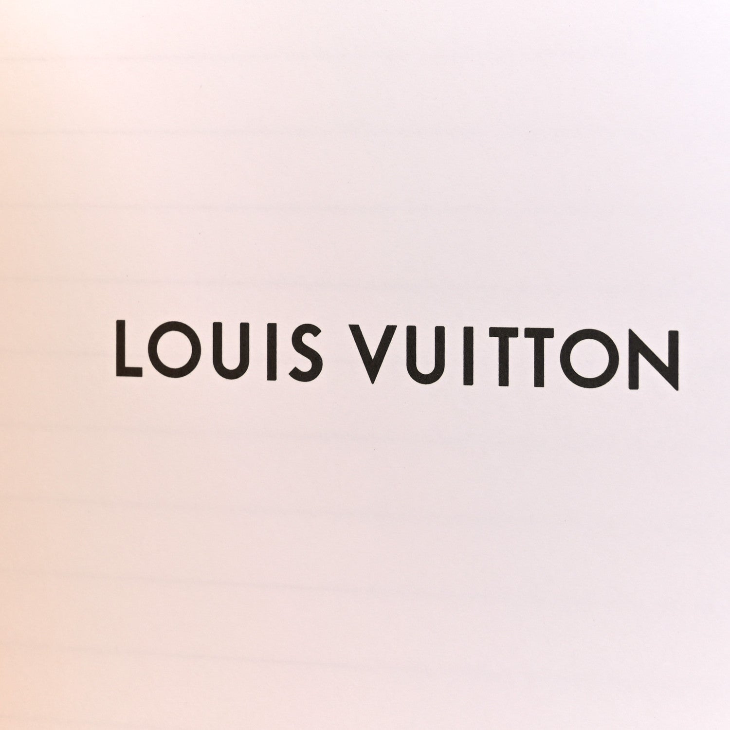 Louis Vuitton Monogram 2022 Christmas Animation New York Soho Clemence Notebook