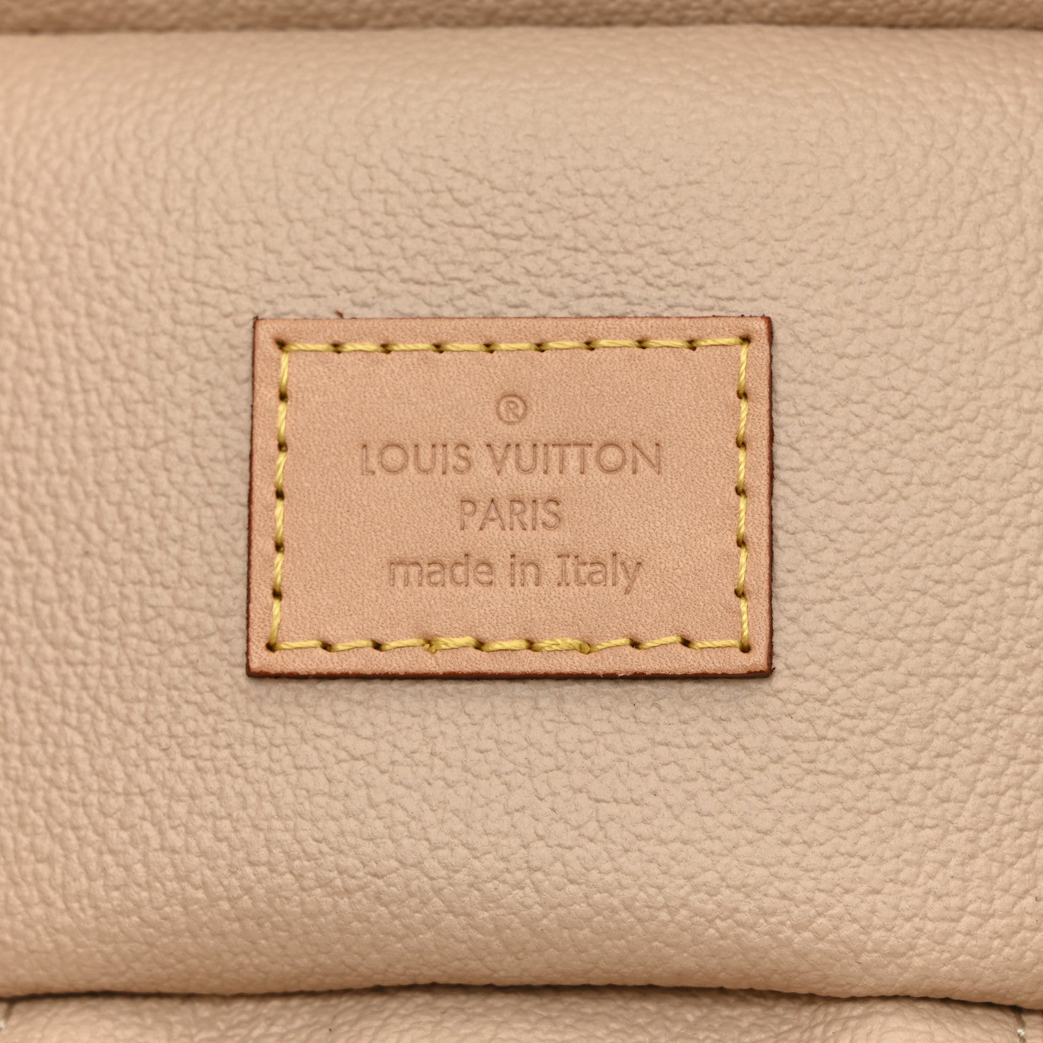 Louis Vuitton Monogram Nano Nice