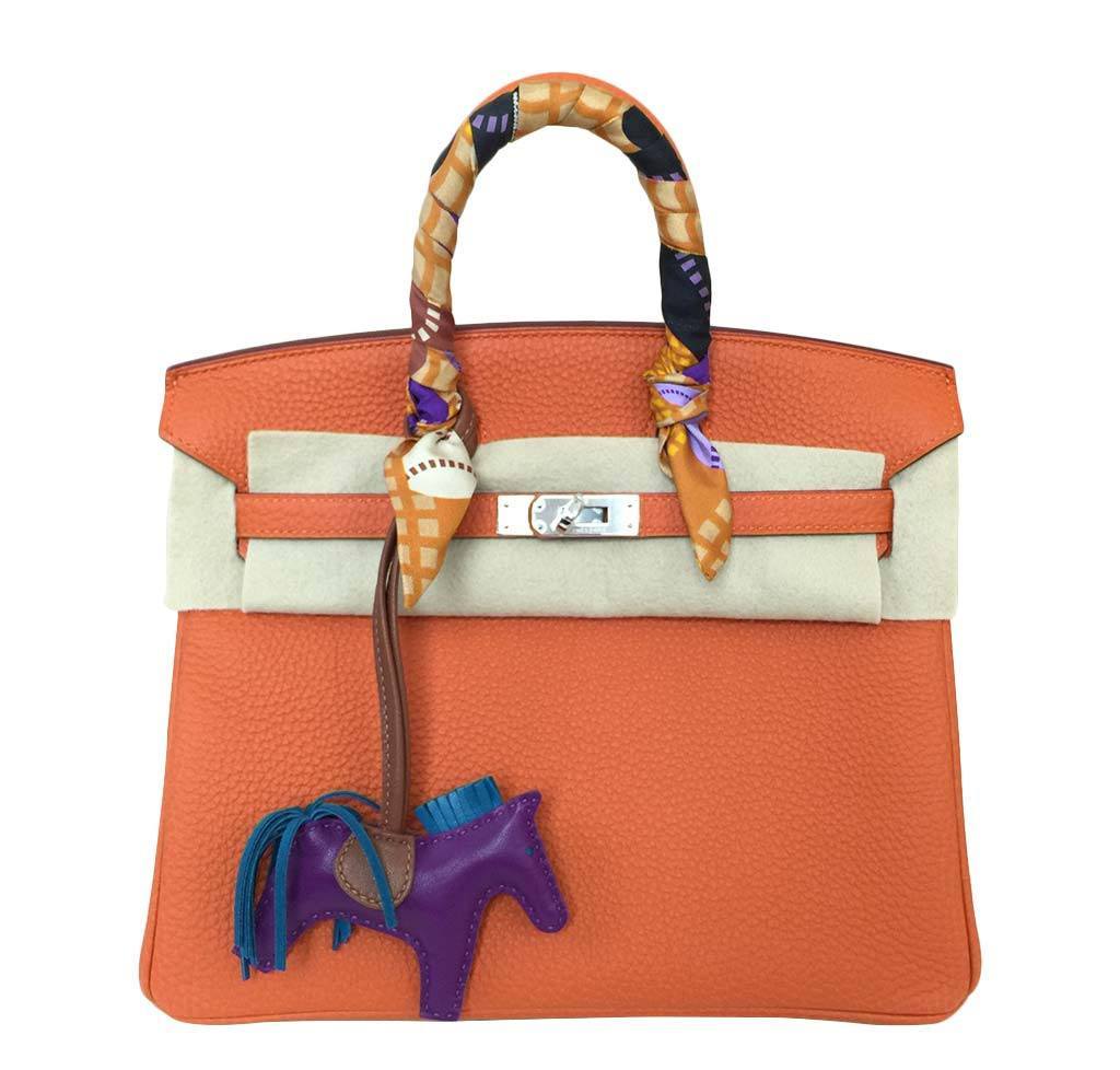 Hermès Birkin 25 Feu Clemence Bag
