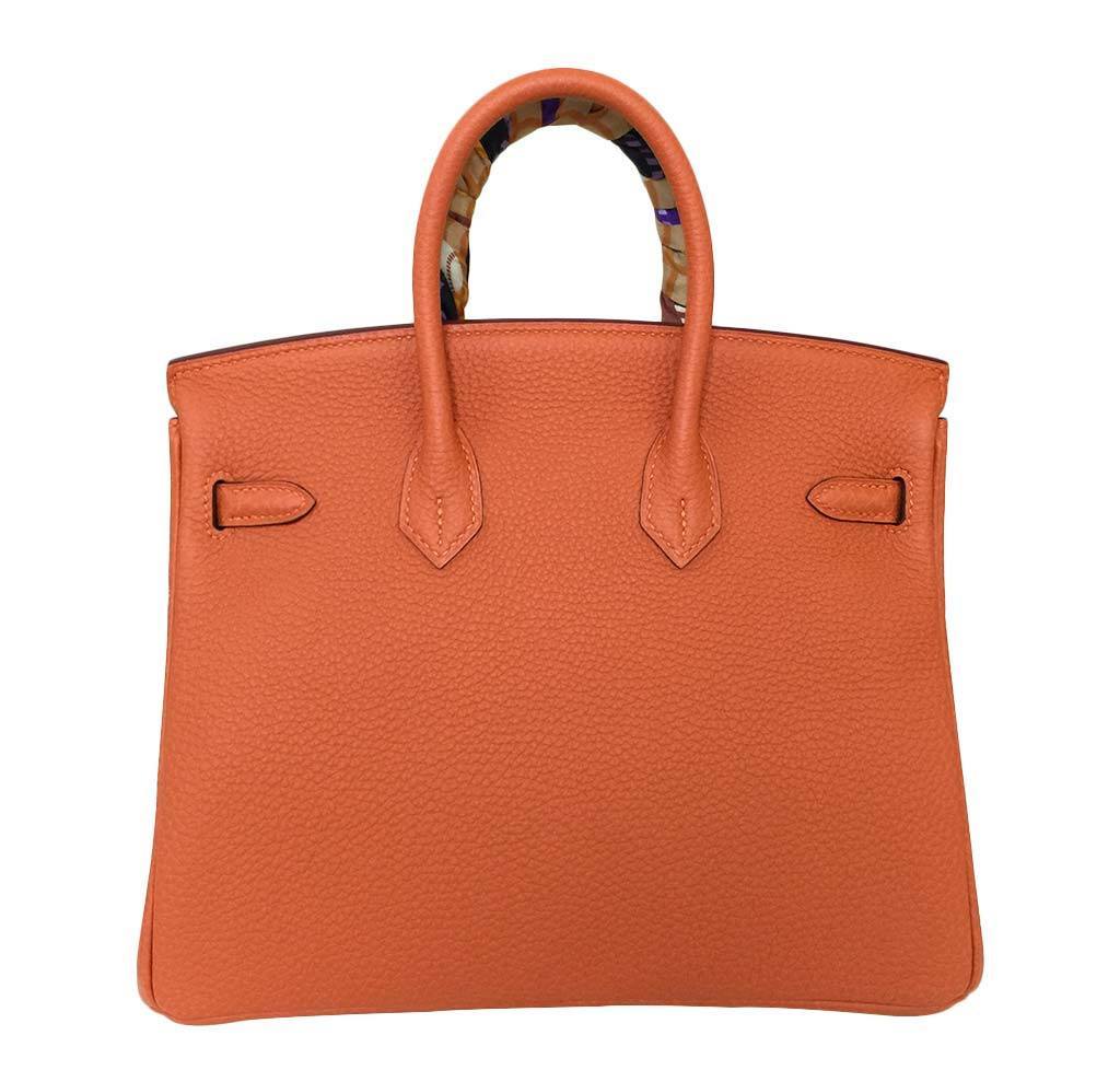 Hermès Birkin 25 Feu Clemence Bag