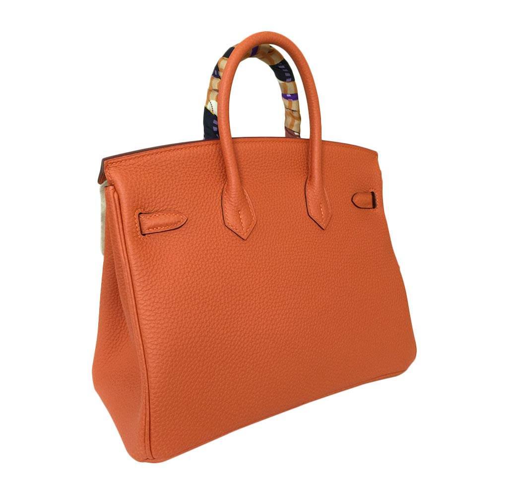 Hermès Birkin 25 Feu Clemence Bag