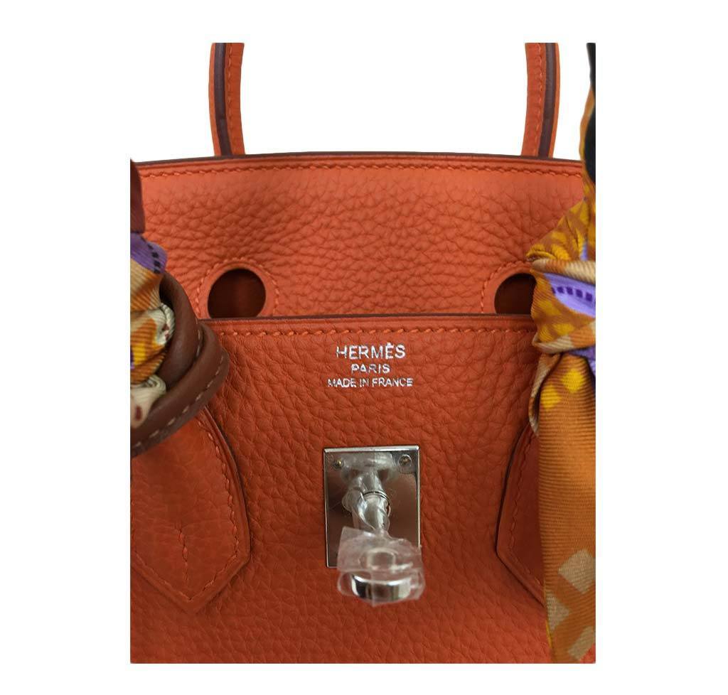 Hermès Birkin 25 Feu Clemence Bag