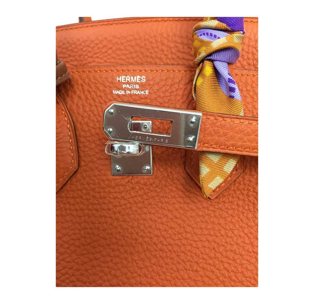 Hermès Birkin 25 Feu Clemence Bag