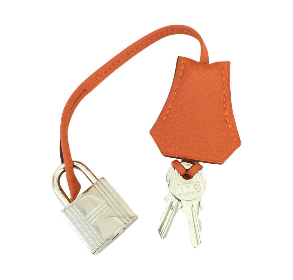 Hermès Birkin 25 Feu Clemence Bag