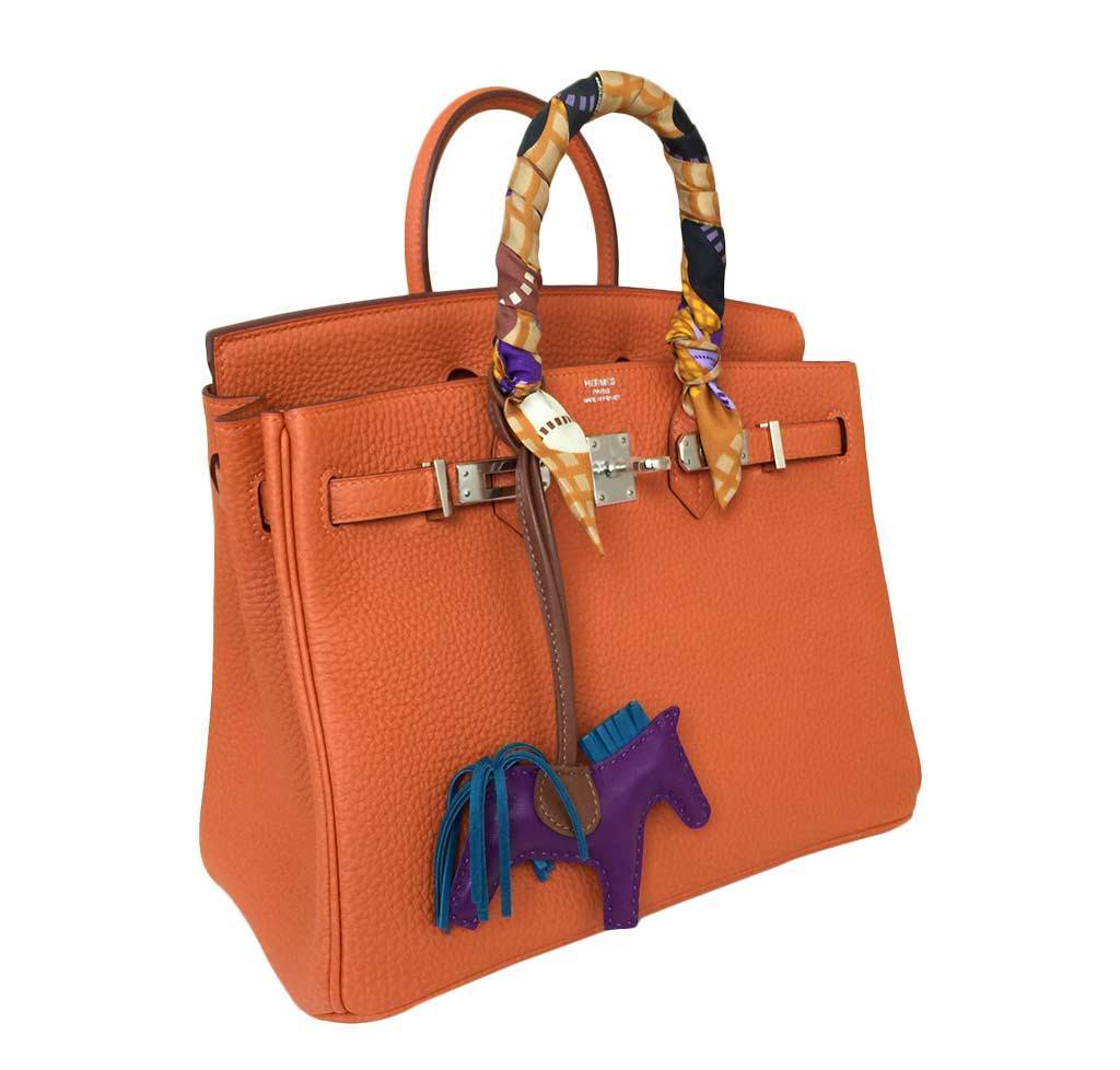 Hermès Birkin 25 Feu Clemence Bag