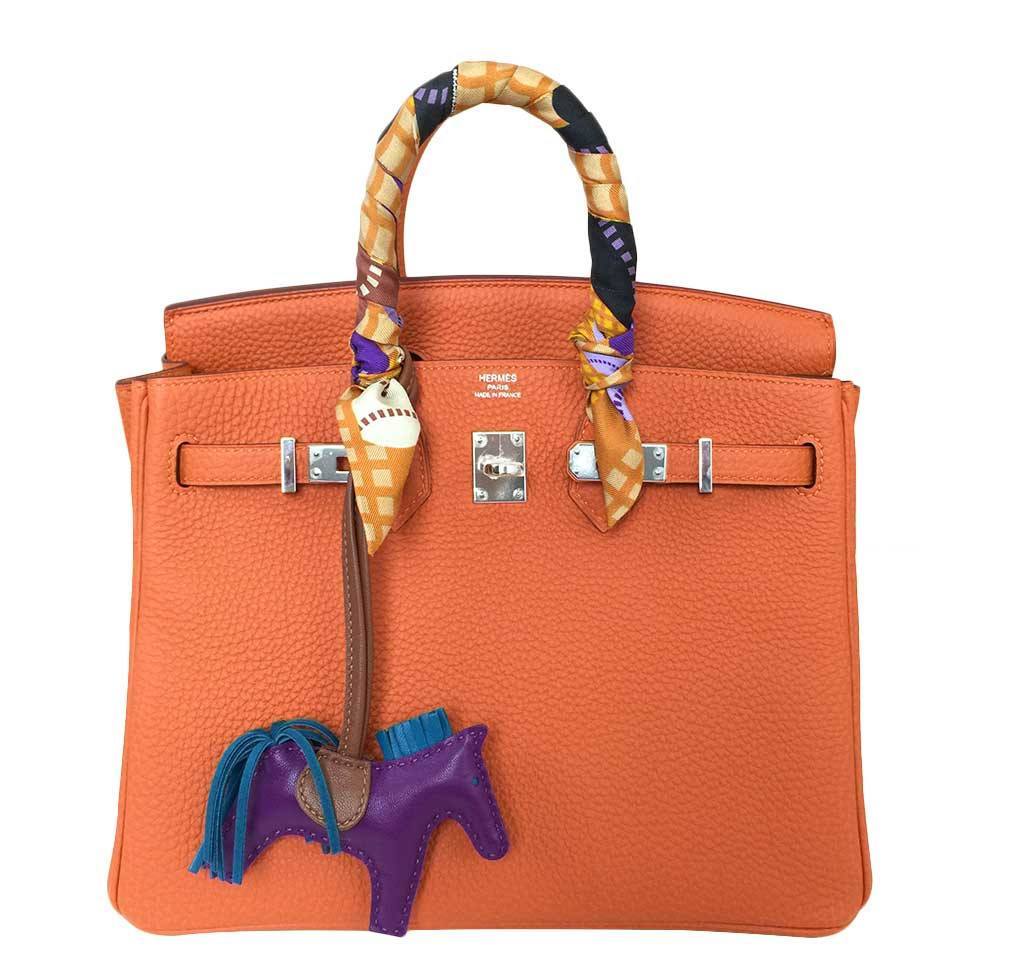 Hermès Birkin 25 Feu Clemence Bag