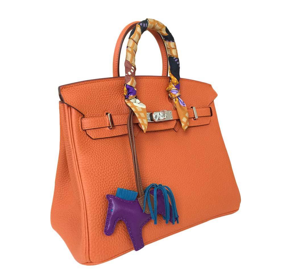 Hermès Birkin 25 Feu Clemence Bag