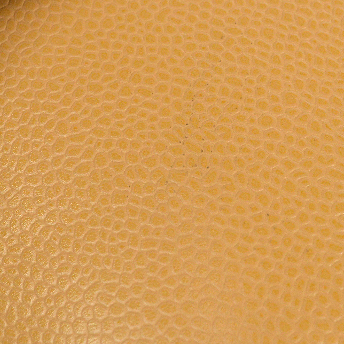 CHANEL 2005-2006 Timeless Vanity Handbag Beige Caviar