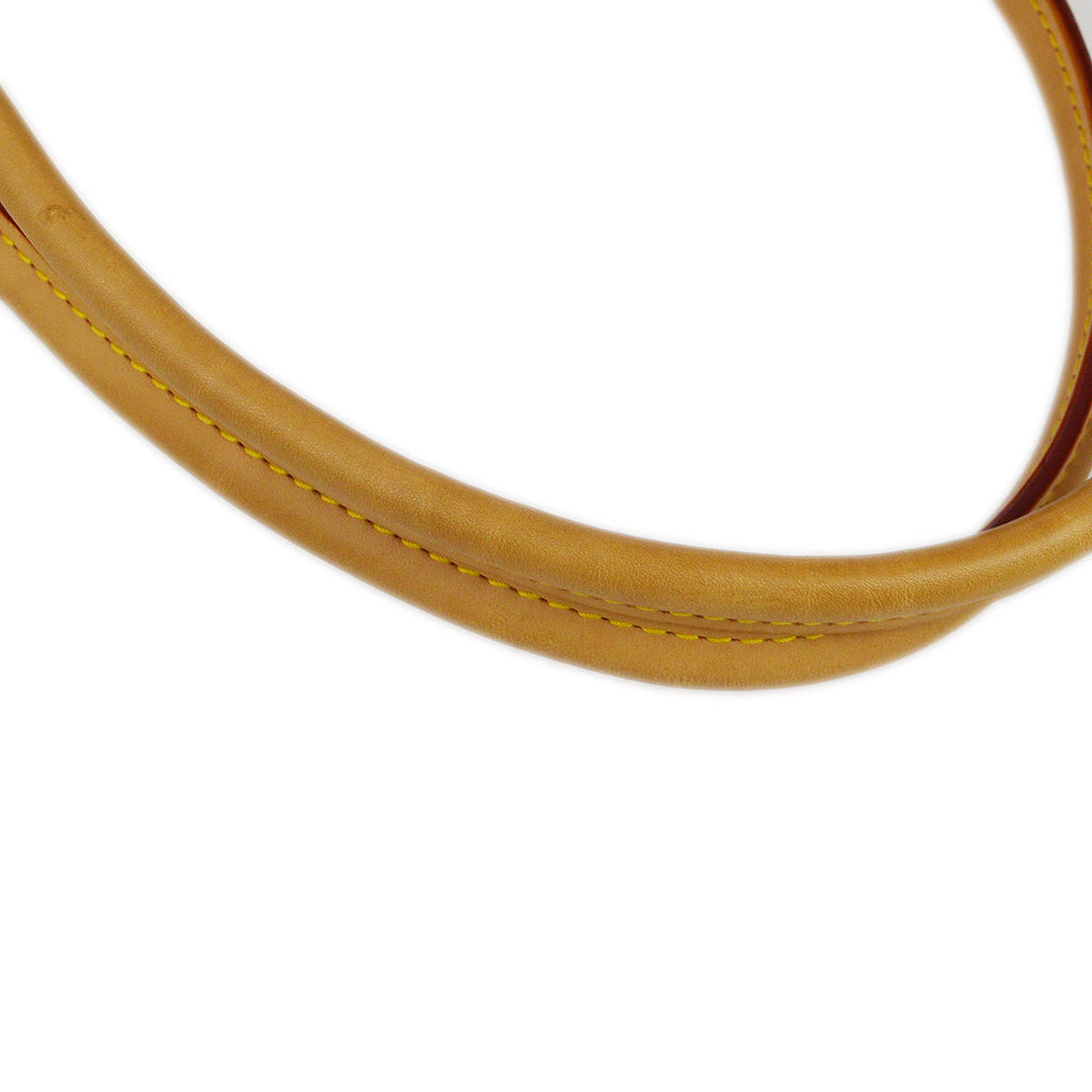 Louis Vuitton 2012 Monogram Raspail PM M40608
