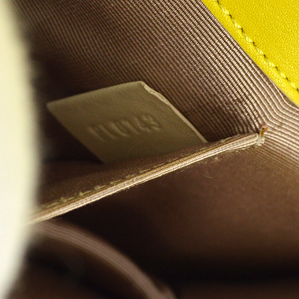 Louis Vuitton 2013 Yellow Damier Collection Envelope East West Handbag